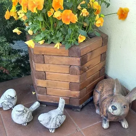 Sobie Na Wyspie ホームステイ グダニスク