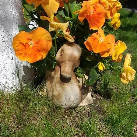 Sobie Na Wyspie * Danzica