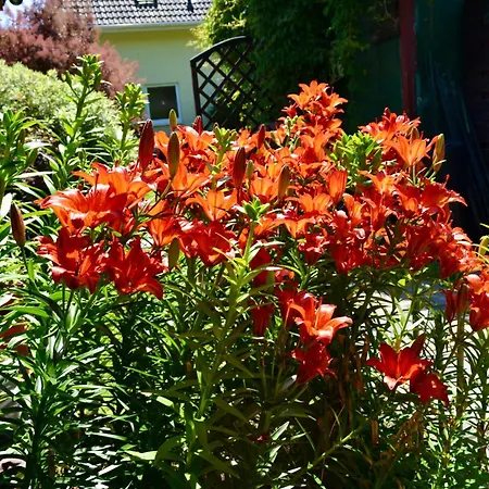 Sobie Na Wyspie Alloggio in famiglia *