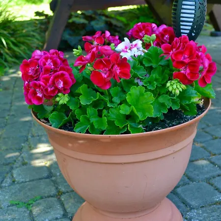 Sobie Na Wyspie ホームステイ グダニスク