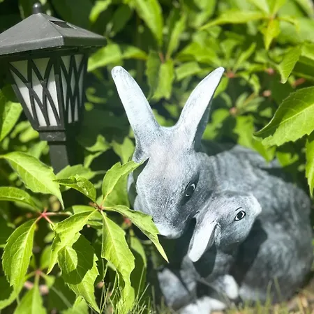 Alloggio in famiglia Sobie Na Wyspie Danzica