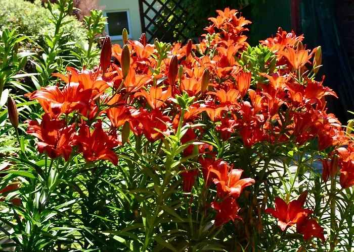 Sobie Na Wyspie Ubytování v soukromí *