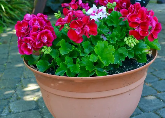 Sobie Na Wyspie Ubytování v soukromí Gdaňsk