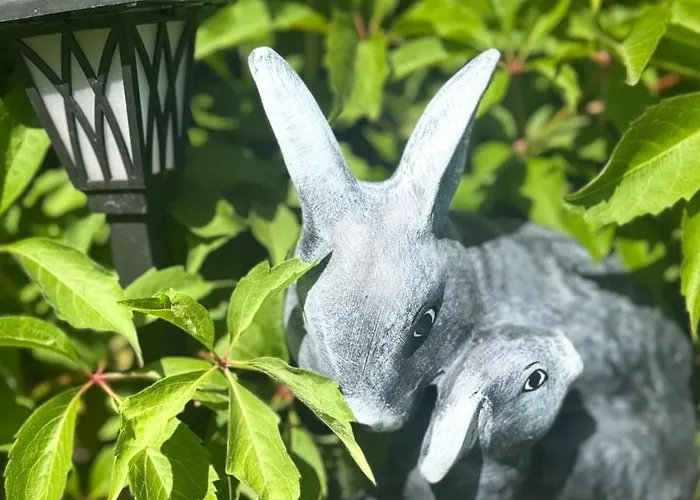 Ubytování v soukromí Sobie Na Wyspie Gdaňsk