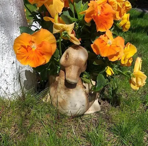 Sobie Na Wyspie * גדנסק